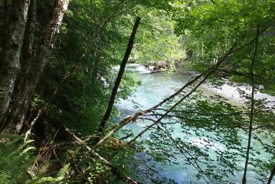 monte Rainier Private Tour Experience en SUV