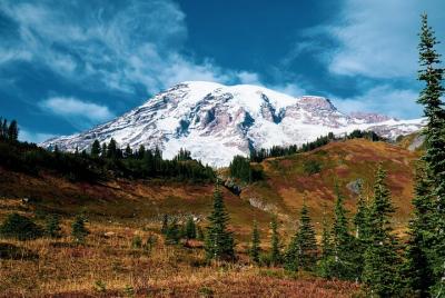 Excursión privada y excursión de un día al Parque Nacional Monte Rainier