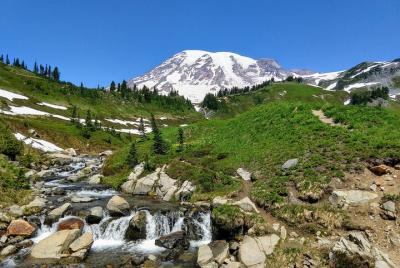 Parque Nacional Monte Rainier: excursión privada de un día de lujo con almuerzo