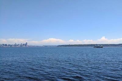 Bainbridge Island Wine and History - Tour privado de un día de lujo con almuerzo