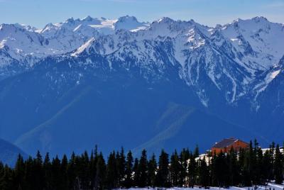 Tour en hidroavión de las montañas olímpicas desde el lago Washington