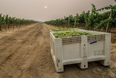 Walla Walla En Woodinville