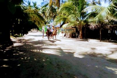 Paseo a caballo en la playa de Acapulco y puesta en libertad de t