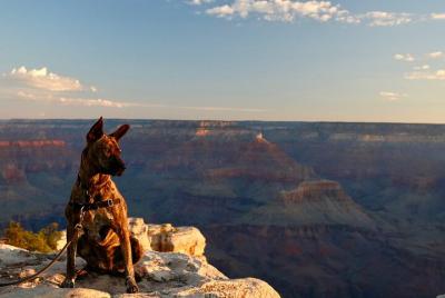 Excursión de senderismo de día completo para grupos pequeños por el Gran Cañón