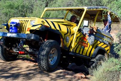 Excursión en jeep de una hora y combo a caballo en Camp Verde