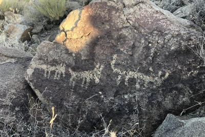 Tour de arqueología de Sedona
