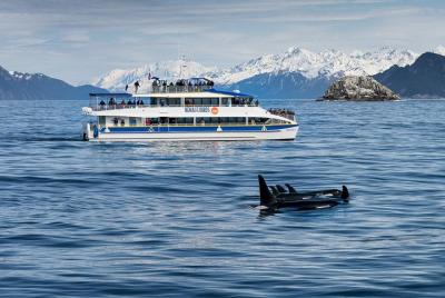 Crucero por el Parque Nacional de los Fiordos de Kenai y para ver la flora y fauna