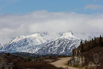 Skagway VIP: 3 horas de aventura en la cumbre