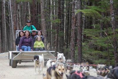 Descubrimiento con recorrido en trineo de perros en Skagway