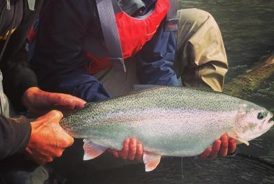 Excursiones de pesca de día completo.