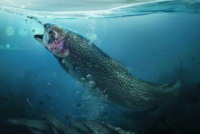 Pesca en la bahía privada South Padre Island
