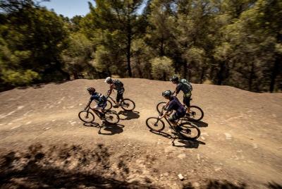 Recorrido en bicicleta eléctrica por Málaga: jardín botánico, parque natural y puerto de Málaga Recorrido en bicicleta eléctrica por Málaga: jardín botánico, parque natural y puerto de Málaga