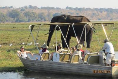 Escapada de un día a Chobe desde las Cataratas Victoria