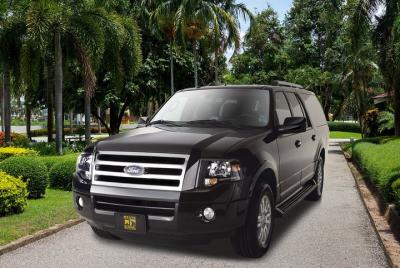 Transferencia privada de Tampa: del aeropuerto al hotel o puerto de cruceros Transferencia privada de Tampa: del aeropuerto al hotel o puerto de cruceros