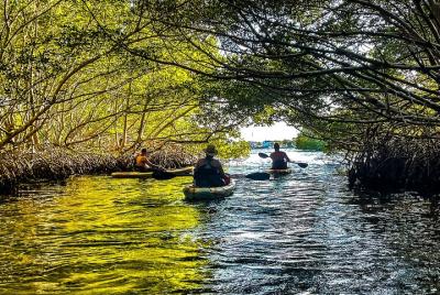 Aventura en kayak de medio día para grupos pequeños en la isla Weedon Aventura en kayak de medio día para grupos pequeños en la isla Weedon