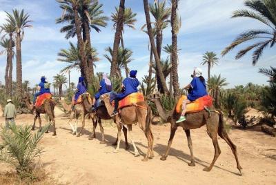 Paseo en camello por Marrakech en los palmerales