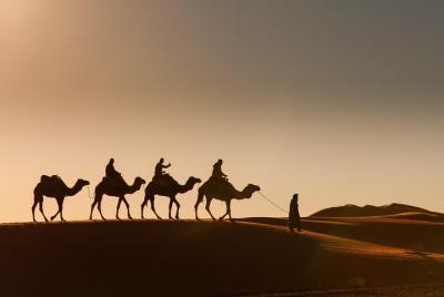 Marrakech a Merzouga Safari de 3 días en el desierto compartido Marrakech a Merzouga Safari de 3 días en el desierto compartido