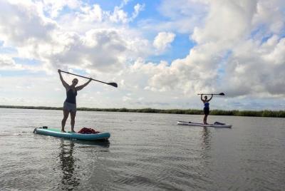 Tour de paddleboard y yoga en Tybee Island Tour de paddleboard y yoga en Tybee Island