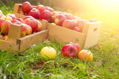 Tour de fin de semana de otoño con todo incluido para GRUPOS de 10-16