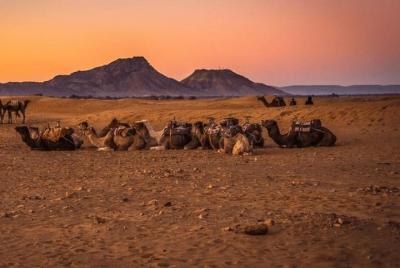 Tour de 2 días y 1 noche al desierto de Zagora desde Marrakech Tour de 2 días y 1 noche al desierto de Zagora desde Marrakech