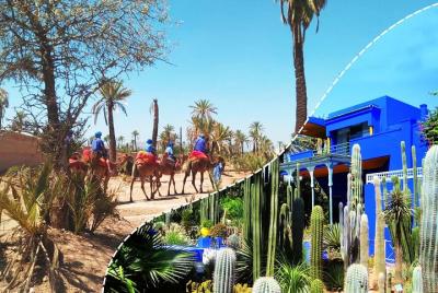 Lo mejor de Kech: jardín Majorelle con paseo en camello en las palmeras desde Marrakech Lo mejor de Kech: jardín Majorelle con paseo en camello en las palmeras desde Marrakech