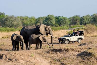 Tour en grupos pequeños al Parque Nacional Zambezi