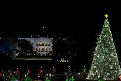Recorrido a pie por las luces navideñas de Washington DC