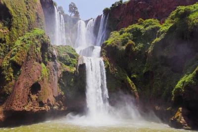 Excursión de un día a Ouzoud WatterFalls desde Marrakech: compartido