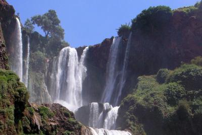 Excursión de un día a la cascada de Ouzoud desde Marrakech: Privada