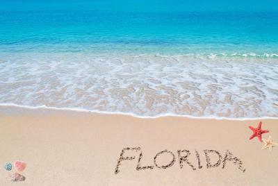 Aeropuerto de Palm Beach a Miami Pase de hasta 3  Aeropuerto de Palm Beach a Miami Pase de hasta 3