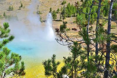 Excursión a pie por el día de Fairy Falls