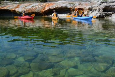 Excursiones en kayak de medio día por el lago Yellowstone más allá de las características geotérmicas