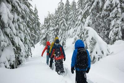 Aventura privada con raquetas de nieve desde Badger Pass hasta Dewey Point Aventura privada con raquetas de nieve desde Badger Pass hasta Dewey Point