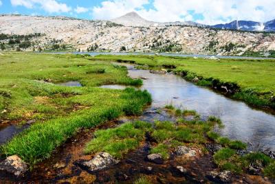 Tour privado de senderismo por Tuolumne Meadows Tour privado de senderismo por Tuolumne Meadows