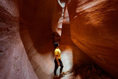 Caminata por el este de Zion Crimson Canyon y aventura en UTV Caminata por el este de Zion Crimson Canyon y aventura en UTV