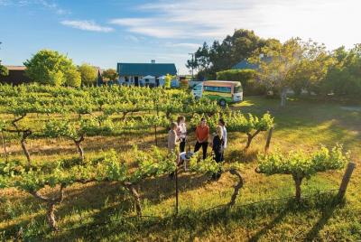 Puntos culminantes del valle de Barossa del valle de Barossa incluyendo la prueba del vino y del queso