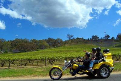 Excursión privada de medio día exclusiva a Trike Barossa Valley para 2