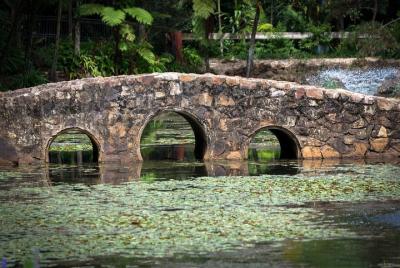 Matrícula de fotografía en línea