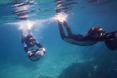 Experiencia de scooter subacuático para grupos pequeños en Clovelly