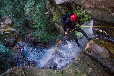 Descenso de barrancos y rappel de un día en pequeños grupos desde Katoomba