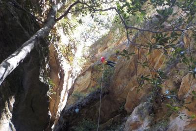 Juggler Canyon y Abseiling Adventure Blue Mountains