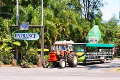 Tropical Fruit World con Wildlife Boat Cruise desde Gold Coast Tropical Fruit World con Wildlife Boat Cruise desde Gold Coast