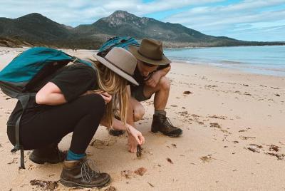 Tour a pie de Freycinet
