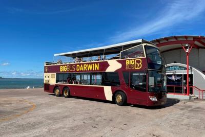 Excursión en la costa de Darwin: excursión en autobús con paradas Excursión en la costa de Darwin: excursión en autobús con paradas