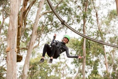 Experiencia de montaña rusa Shockwave en Lorne Experiencia de montaña rusa Shockwave en Lorne