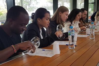 Excursión de cata de vinos de Hunter Valley para grupos pequeños desde Sydney