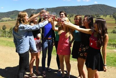 Hunter Valley Wine Tour ex Pokolbin con almuerzo, queso, chocolate y destilería