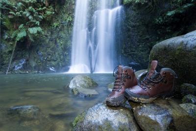 Excursión de 3 días a la Gran Carretera Oceánica y Grampians desde Melbourne