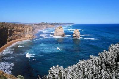 Recorrido nocturno de Great Ocean Road y Phillip Island