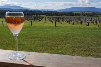 Yarra Valley: 7 horas de visita guiada por el vino con almuerzo de 2 platos